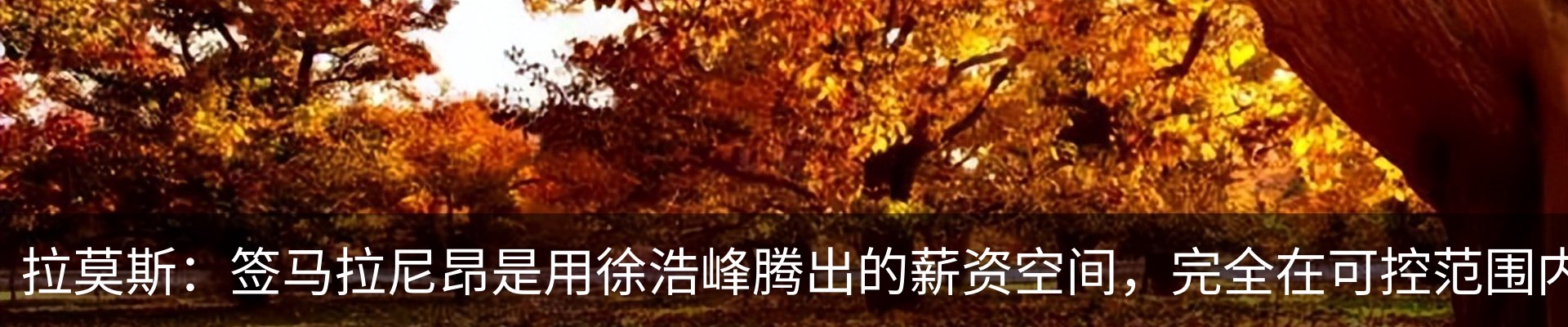 新闻中心