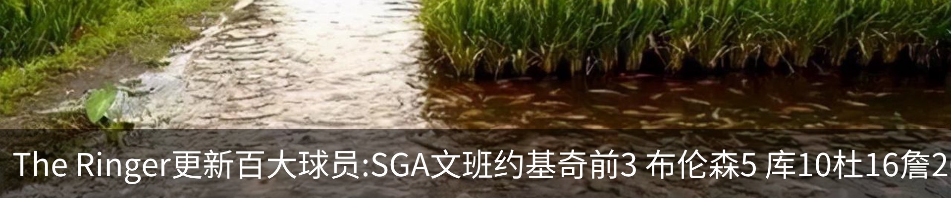 新闻中心